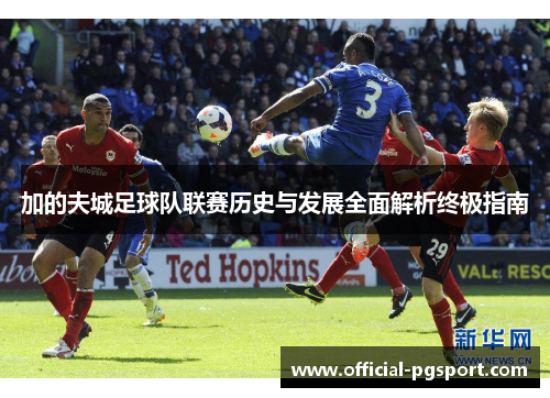 加的夫城足球队联赛历史与发展全面解析终极指南